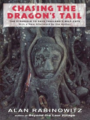 cover image of Chasing the Dragon's Tail